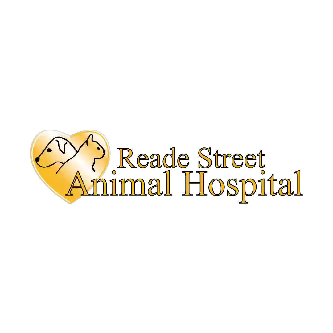 Reade Street Animal Hospital, A Thrive Pet Healthcare Partner