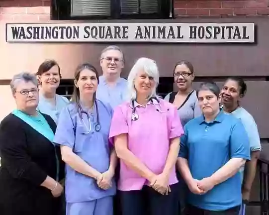 Washington Square Animal Hospital: Kutscher Kristin DVM