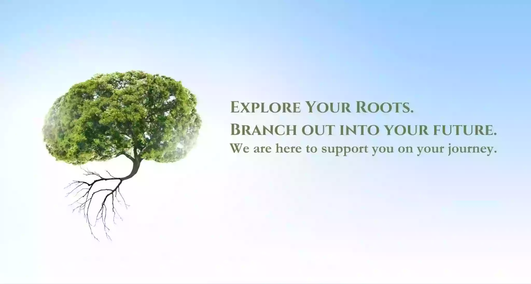 Roots & Branches Therapy