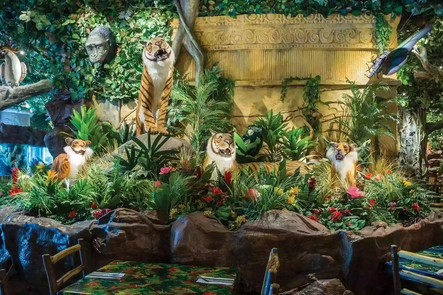 Rainforest Cafe