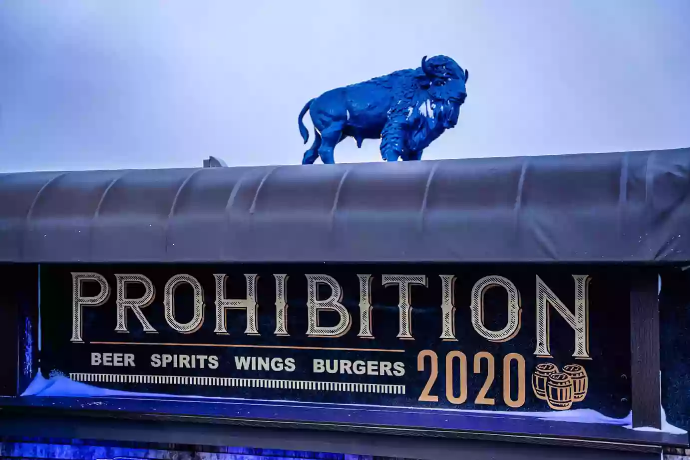 Prohibition 2020