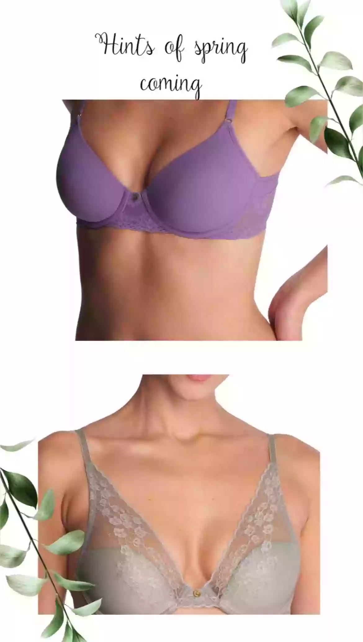 The Bra Fit Expert