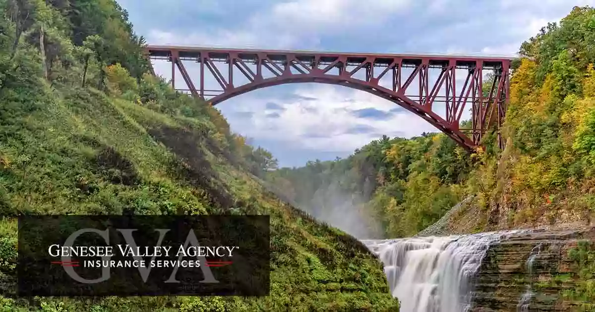 Genesee Valley Agency