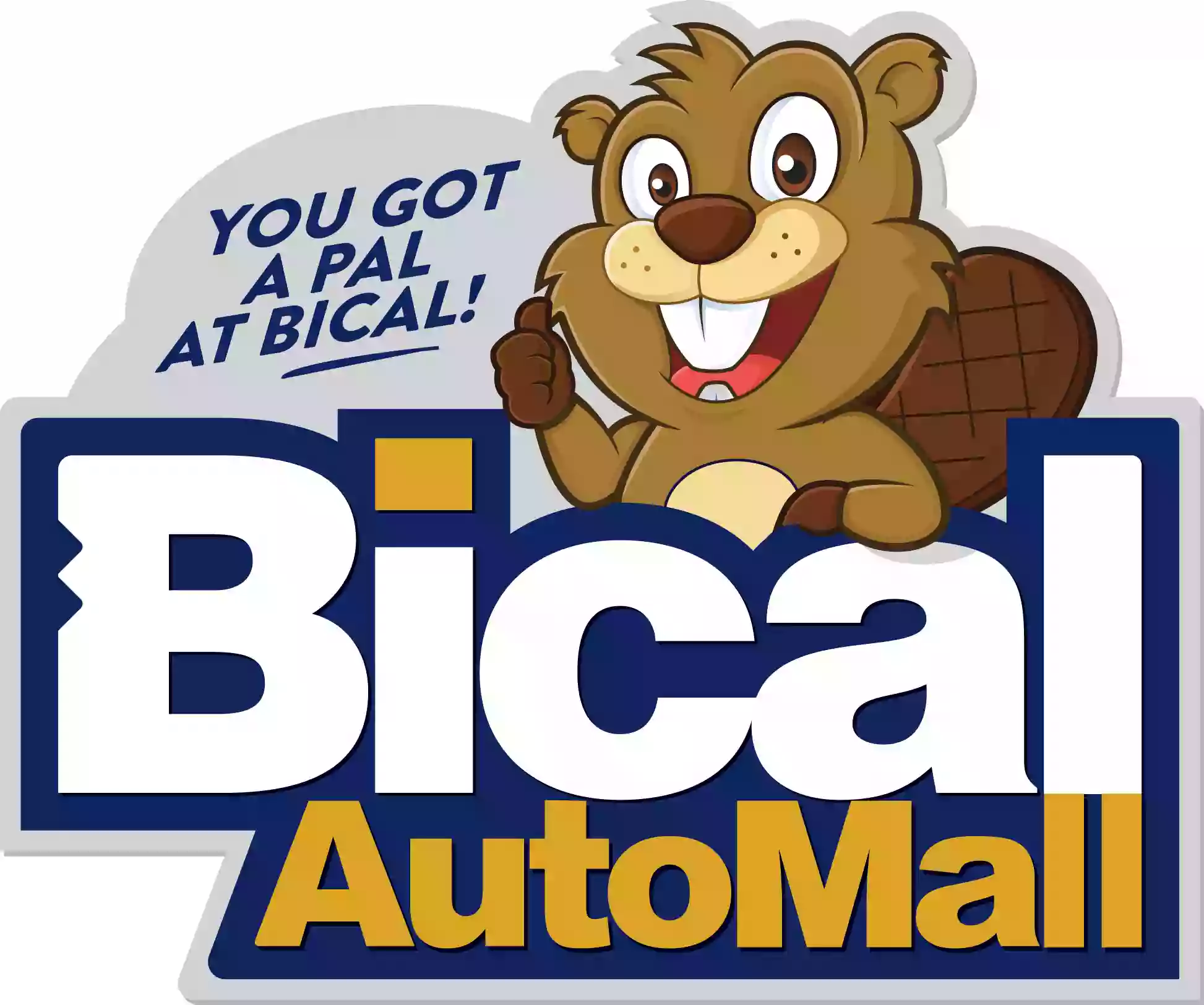 Bical Auto Mall Service