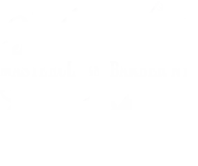 Master Class Barber NYC