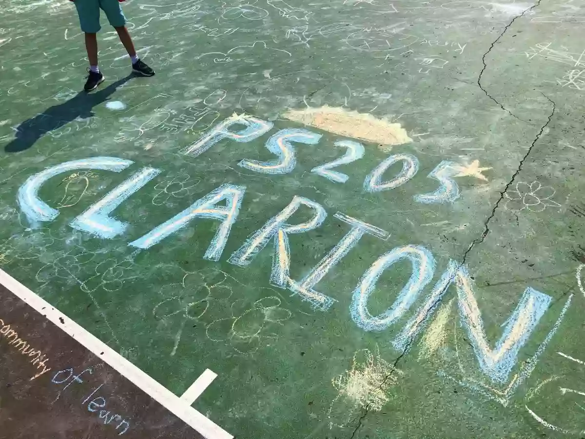 P.S. 205 Clarion