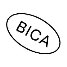 The Buffalo Institute for Contemporary Art (BICA)