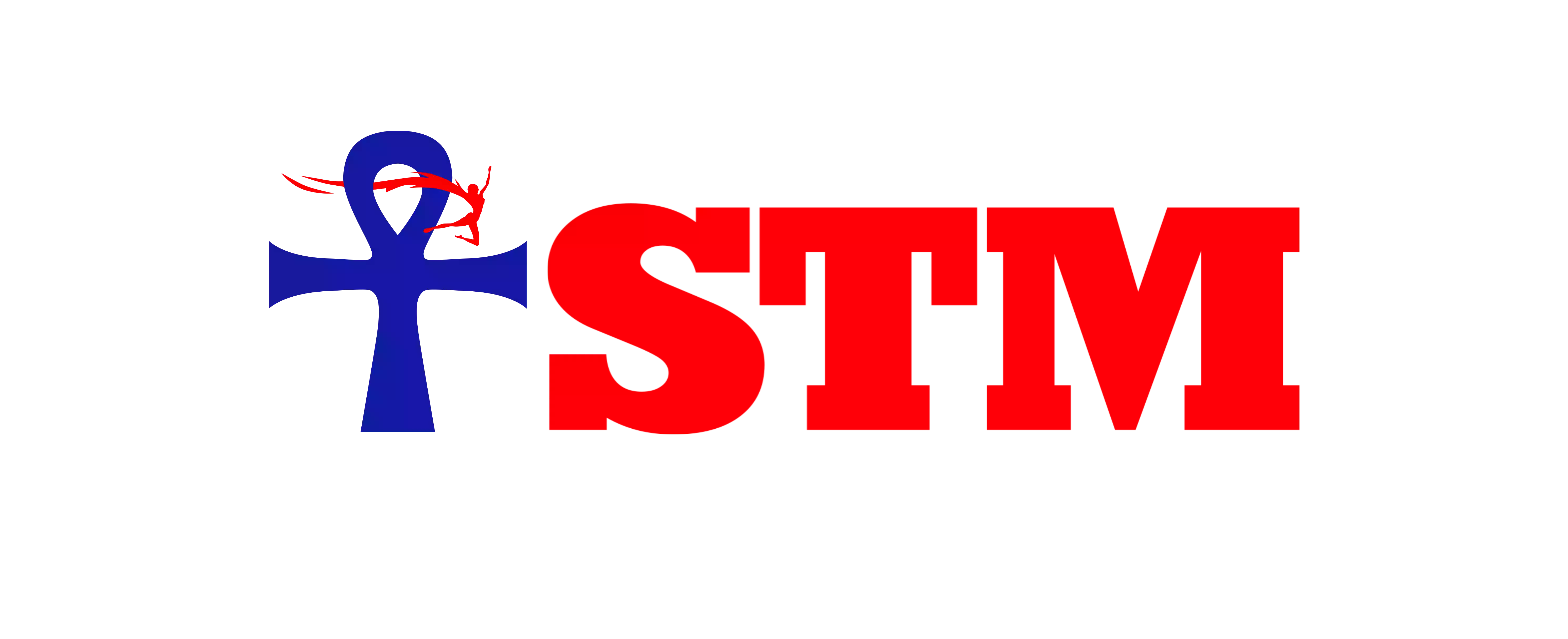 STM Physical and Occupational Therapy