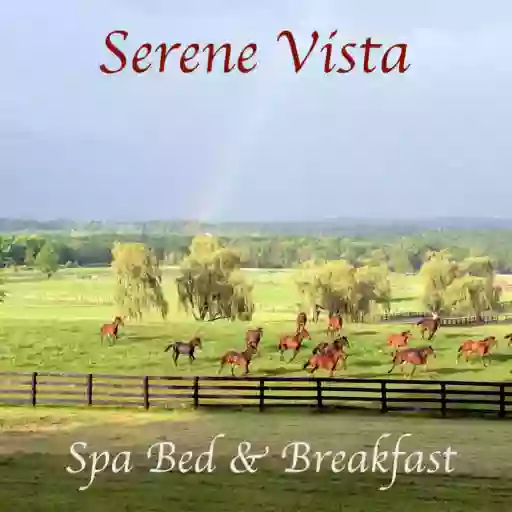 Serene Vista Spa Bed and Breakfast