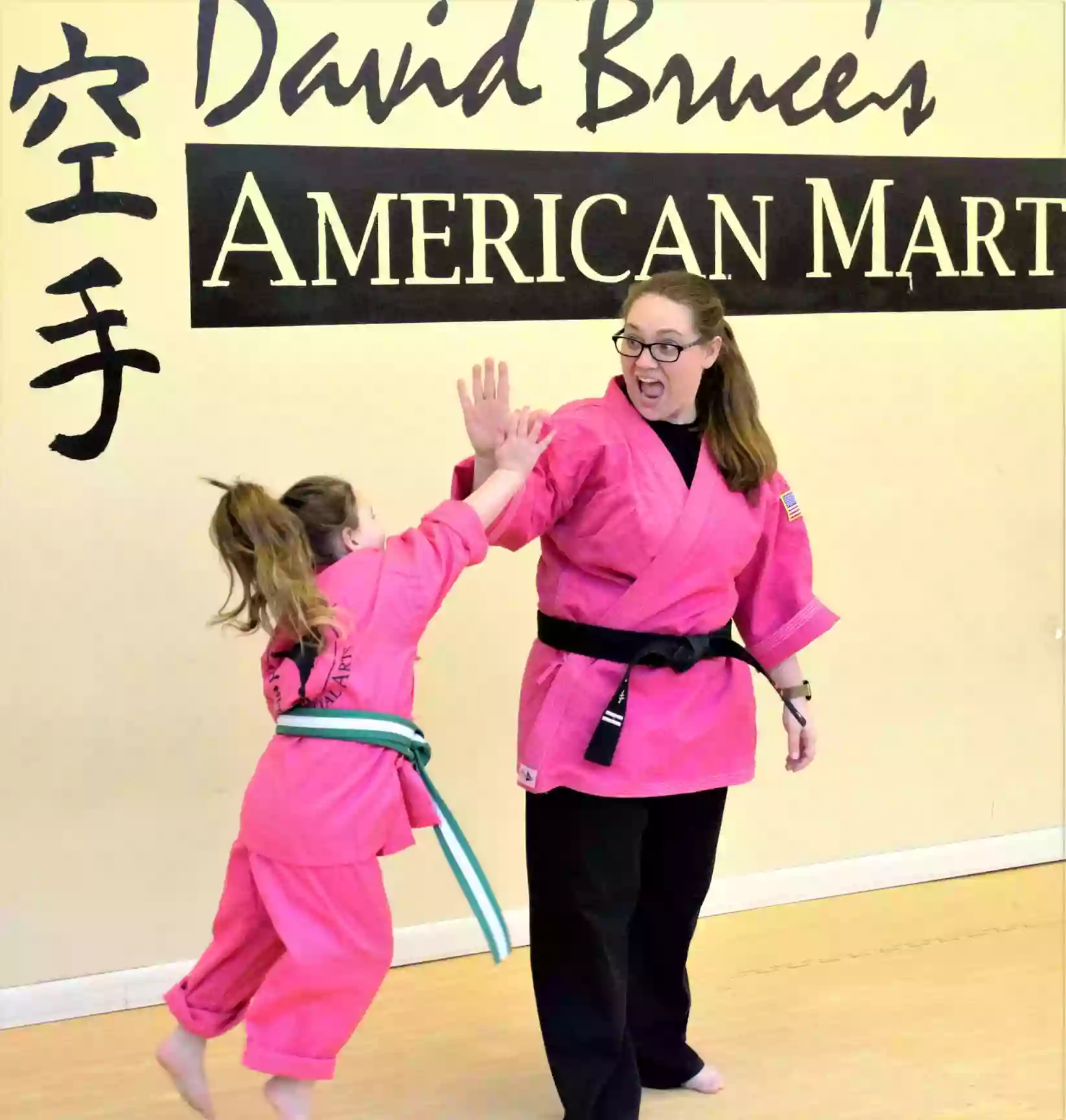 David Bruce's American Martial Arts