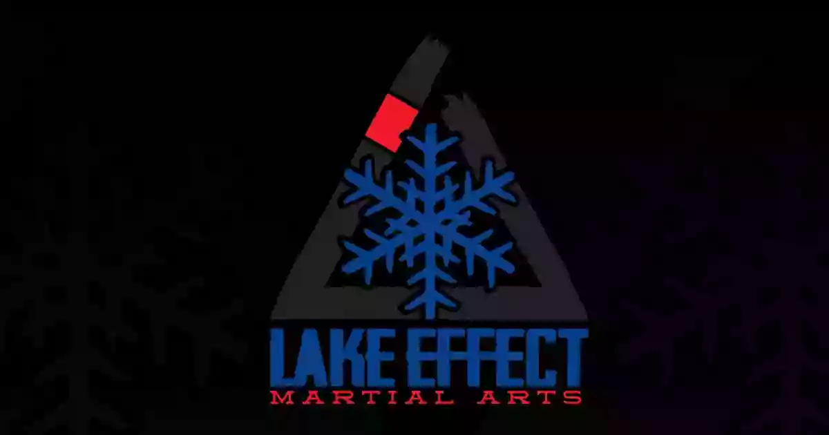 Lake Effect Martial Arts