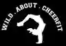 Wild About CheerFit LLC