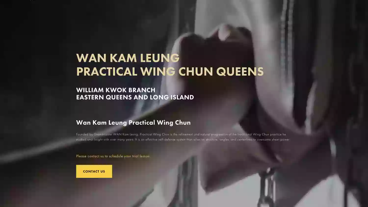 Practical Wing Chun Queens