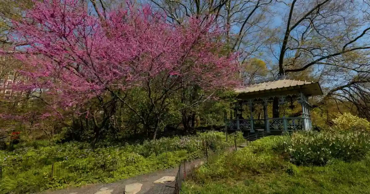 Ladies Pavilion