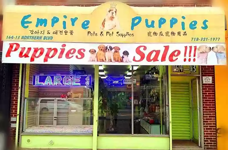 Empire Puppies
