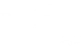 Massage Therapy Latham - Bodywork Professionals