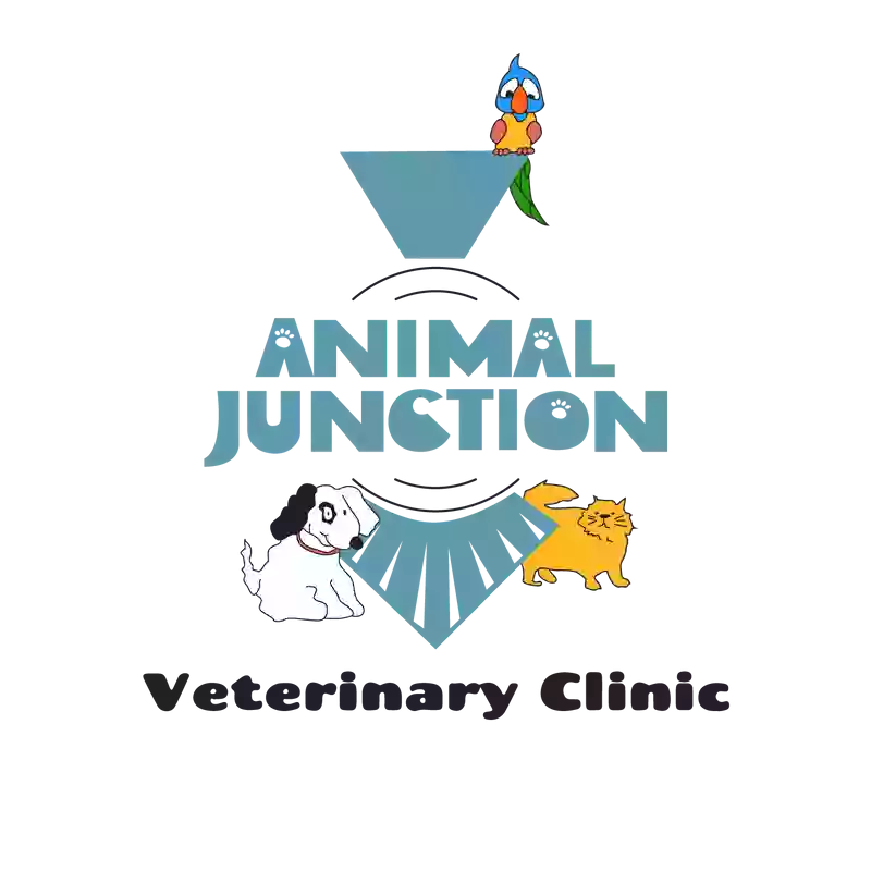Animal Junction Veterinary