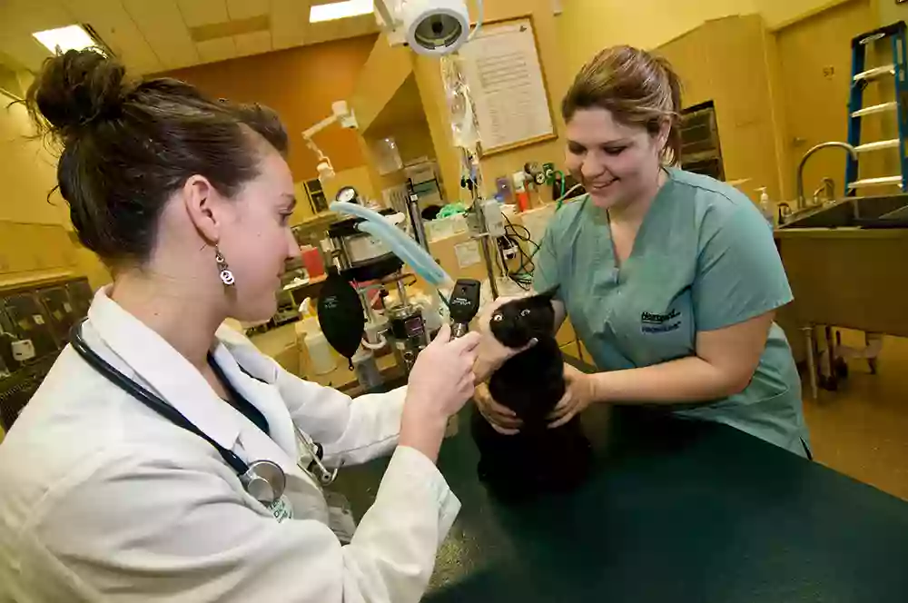 Veterinary Medical Center of CNY