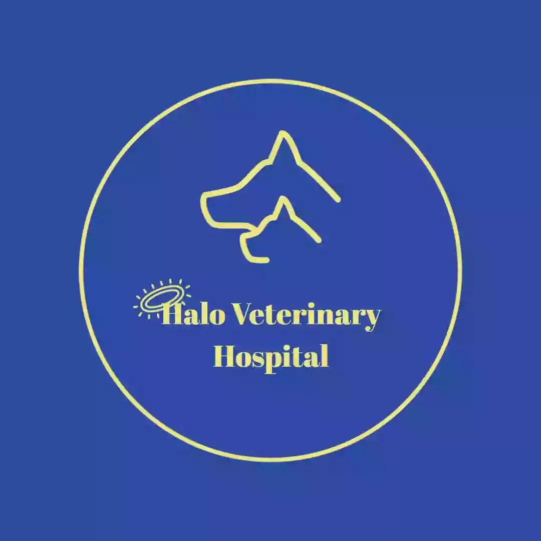 Halo Veterinary Hospital