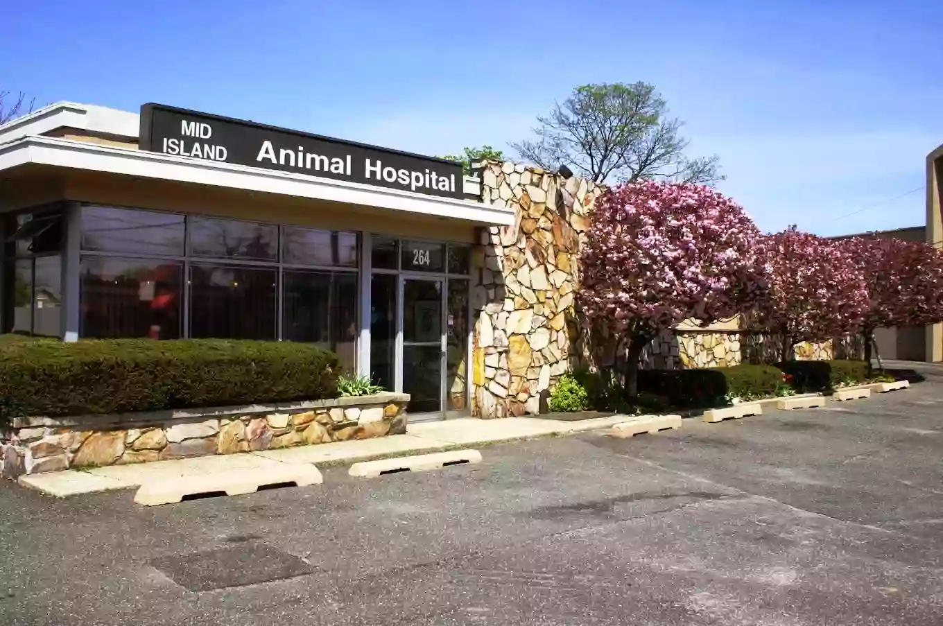 Mid Island Animal Hospital: Mary Raciti DVM