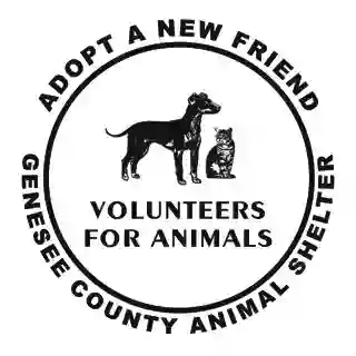 Volunteers For Animals Of Batavia