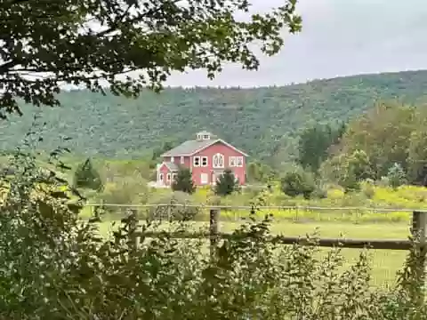 Mountain View Meadow