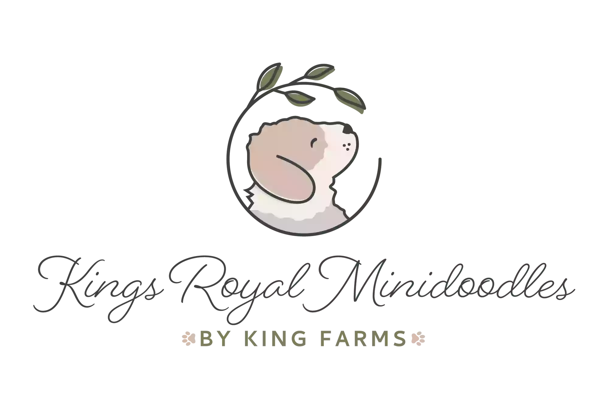 Kings Royal Mini Doodles