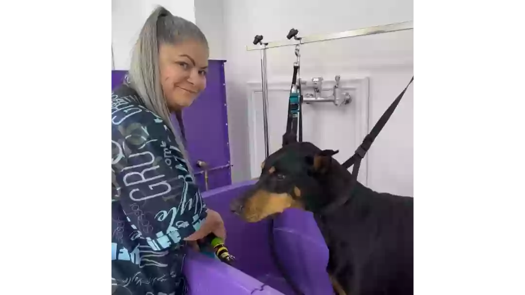 Oceanside Academy of Pet Grooming