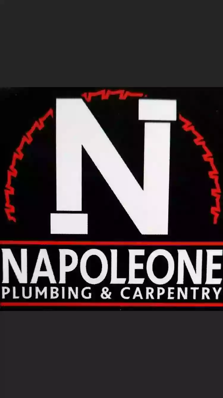 napoleone plumbing and carpentry