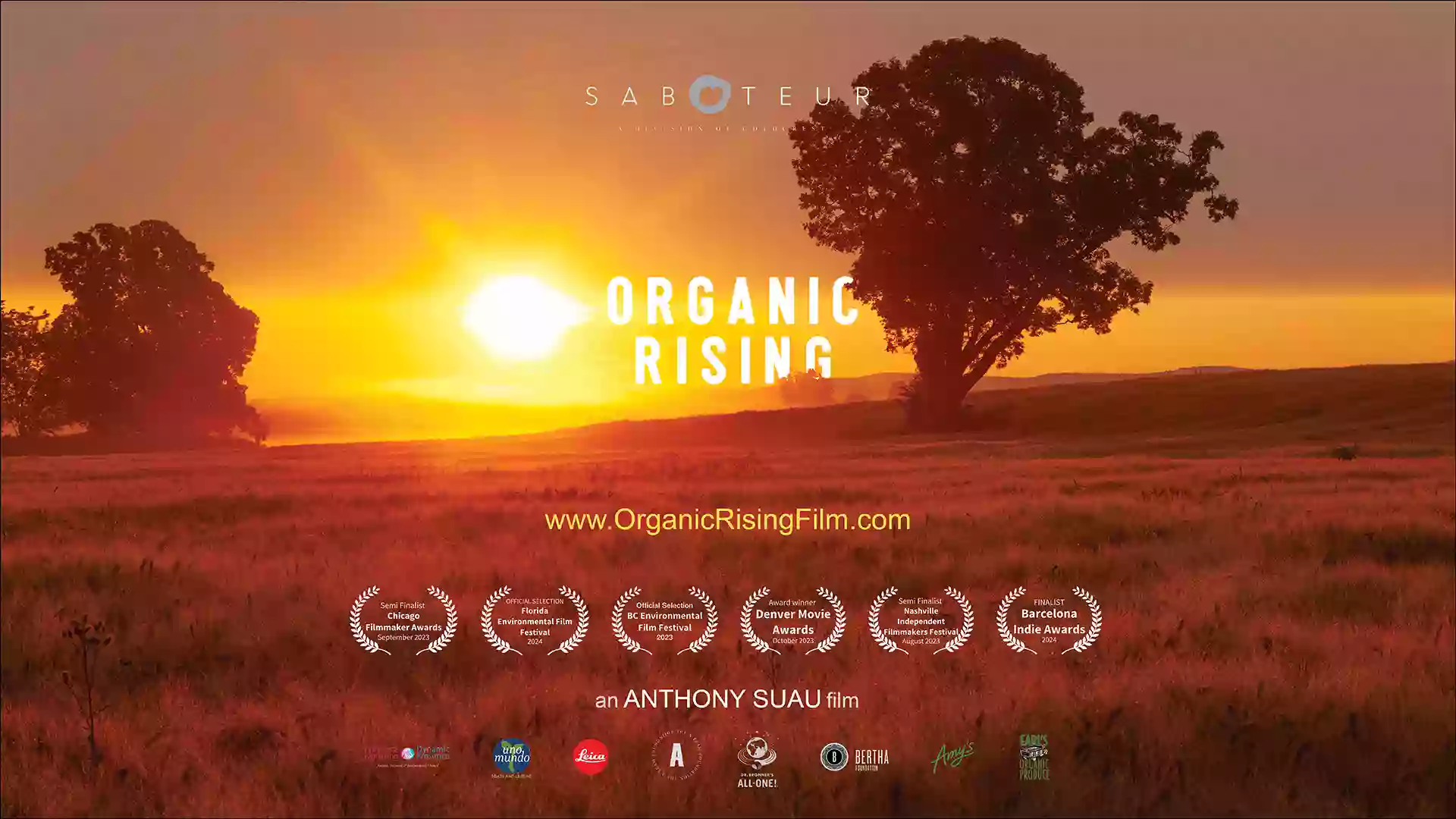 Organic Rising