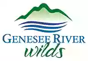 Genesee River Wilds Transit Bridge River Access Park
