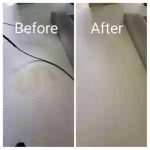 The Carpet Doctor