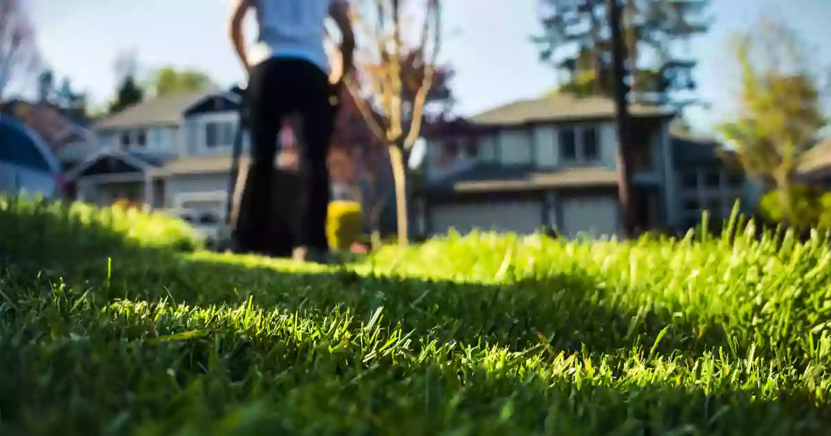 Lakeside Sod Supply Co Inc