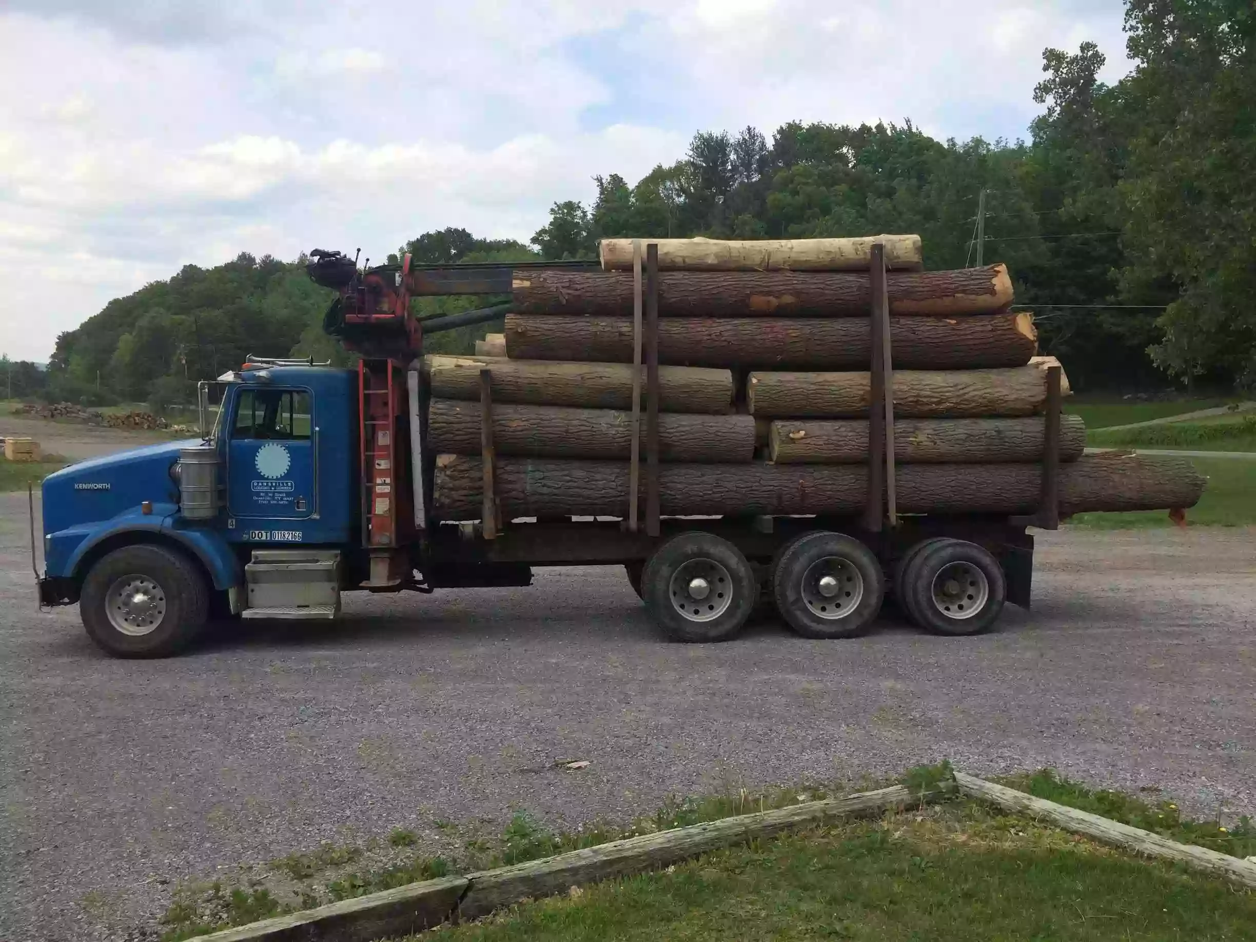 Dansville Logging and Lumber