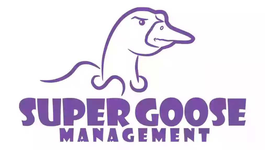 Supergoose Management LLC