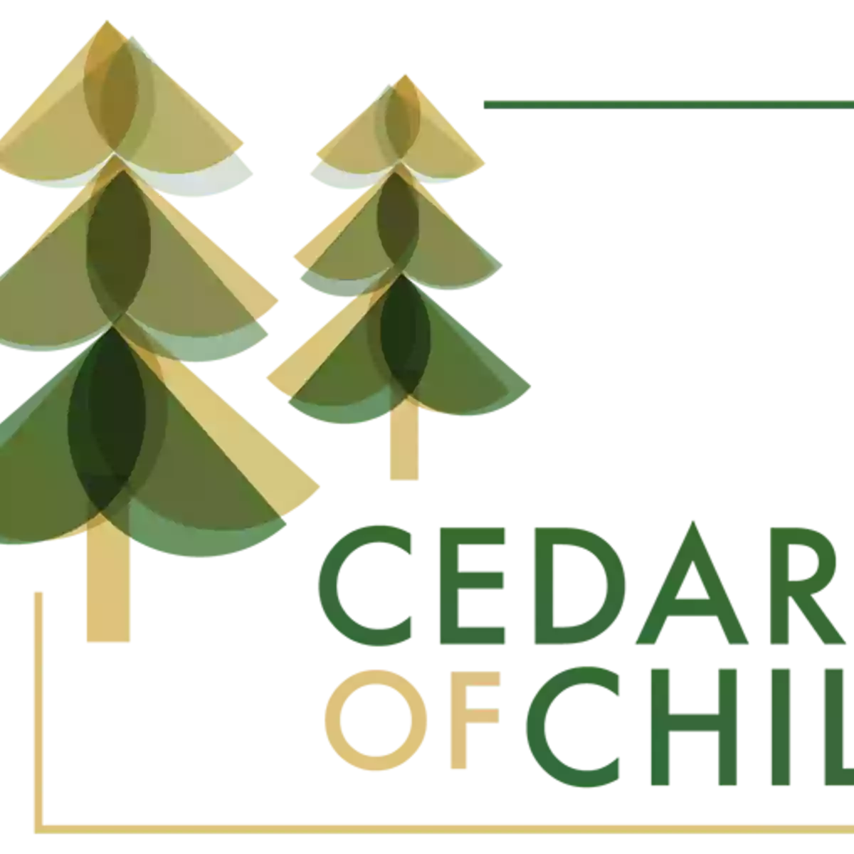 Cedars of Chili