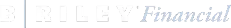 B. Riley Wealth Tax Services - Bronx, NY