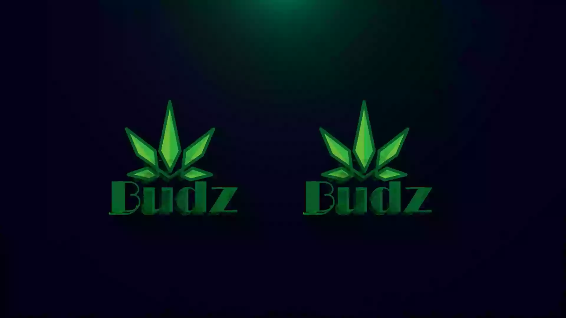 Budz Dispensary