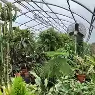 Gallea's Greenhouse