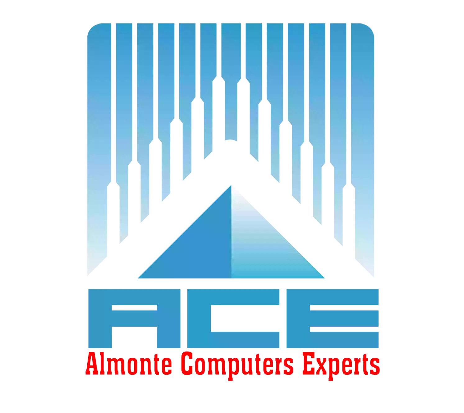 Almonte Computers Experts