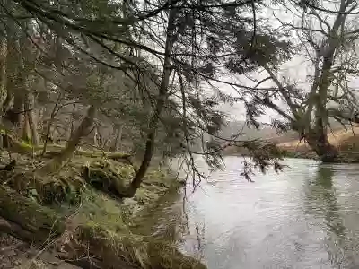 Hemlock Bend Nature Preserve