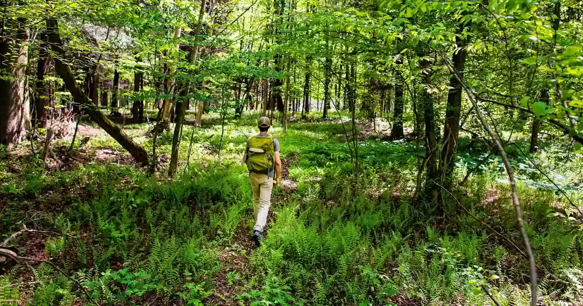 French Creek Preserve