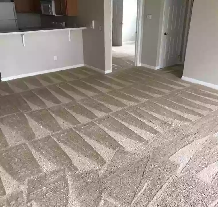 Extreme Carpet and Tile Cleaning Buffalo