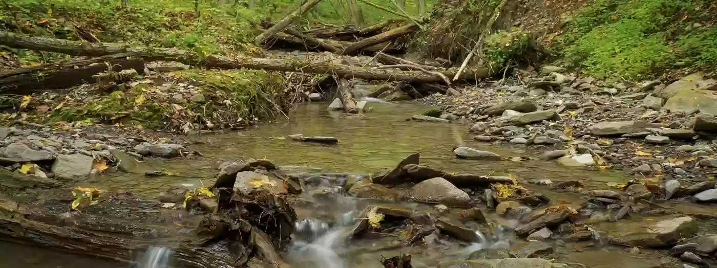 Ellis Hollow Nature Preserve