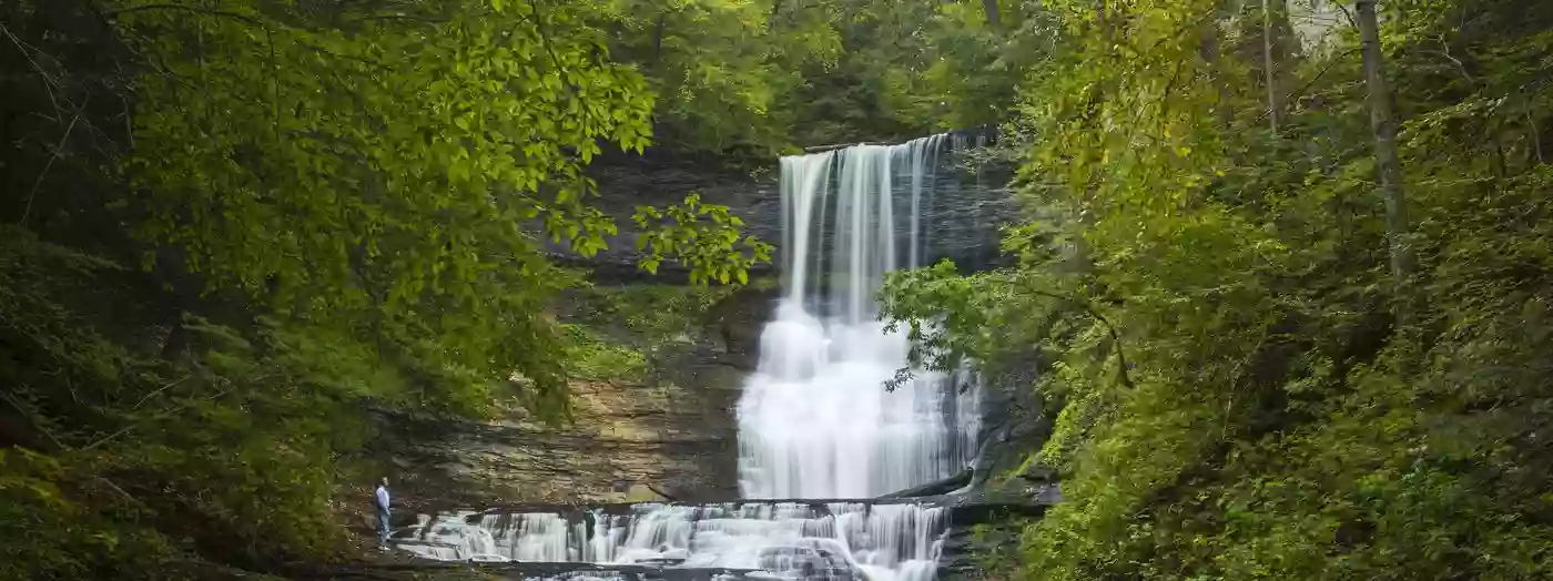 Bahar Preserve and Carpenter's Falls