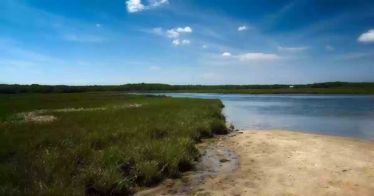 Scallop Pond Preserve