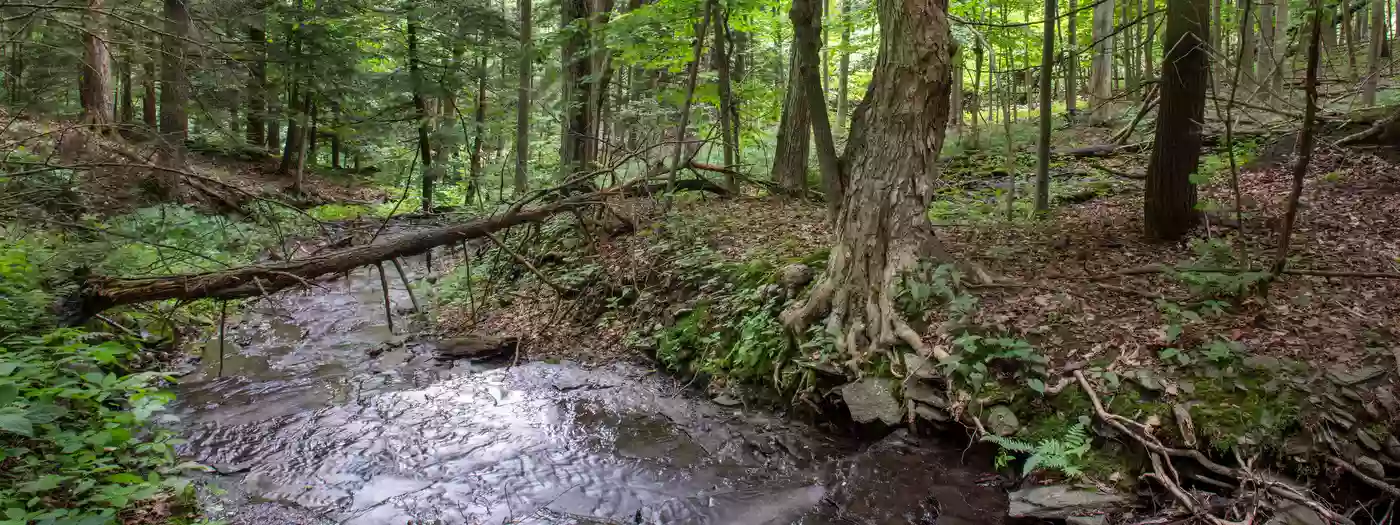 High Vista Nature Preserve