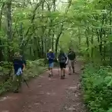 Cat Hollow Trail Head Parking