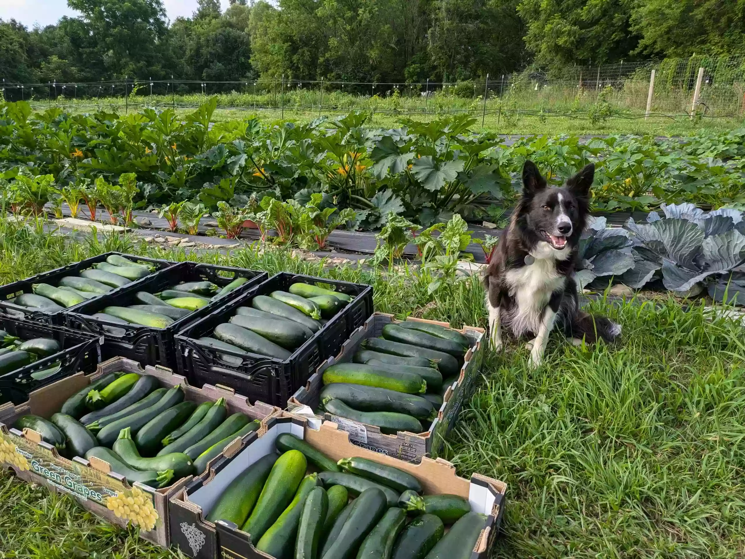 Matthew 25 Farm