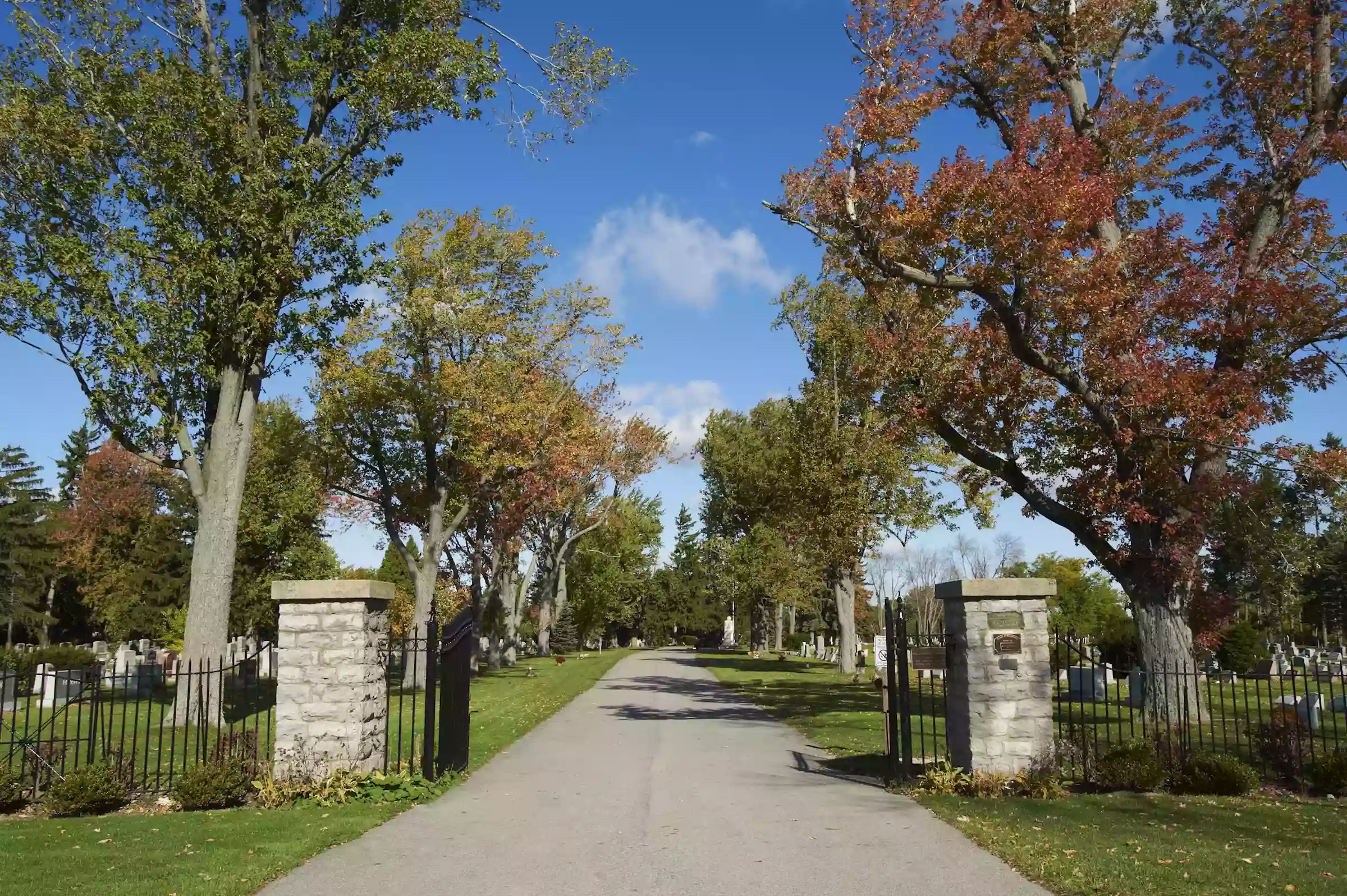 Williamsville Cemetery